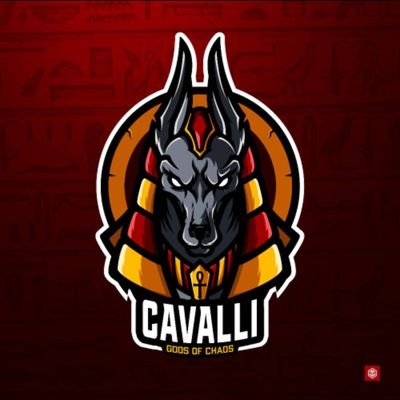 Cavalli_GofG! Profile