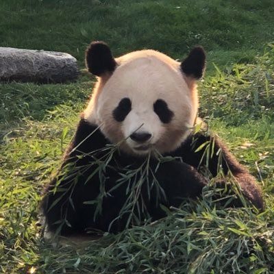 57_fg4's profile picture. パンダトレーダーです。株式投資で億り人目指し中