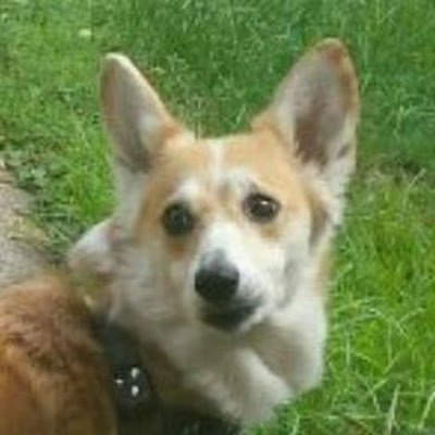 RoseS36343688's profile picture. 