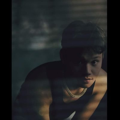 nf / woodvale out now!