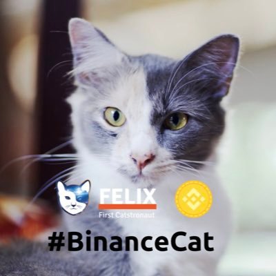 I am Felix. I would like to be one of the #BinanceCats. @tokenfelix