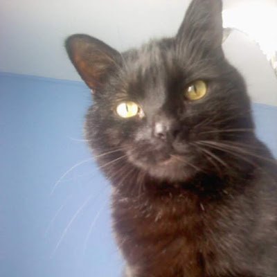 maureen7264's profile picture. 