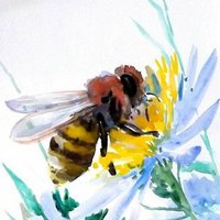 🐝 Bee Mer 🐝 APRUEBO 🌟 (@abejitamer) 's Twitter Profile