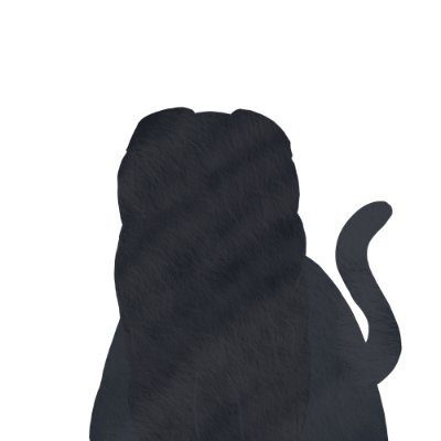 5555 Kitties living in the Solana Universe. These meta kittens are a valuable start for our future projects. Our companions who will never be forgotten.