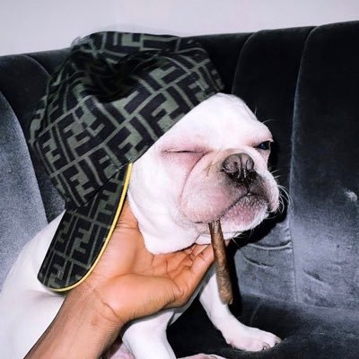 legendarytomiwa's profile picture. 👁️‍🗨️ omo ologo shining forever