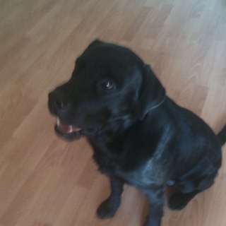 pasha_burij's profile picture. 