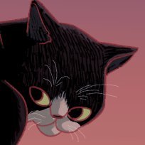 茶んぴよさんのプロフィール画像