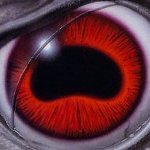 hkvvxsovhh's profile picture. 