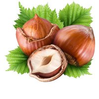 DavidHassnuss (@dhassnuss) 's Twitter Profile