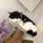 takezo__crypto