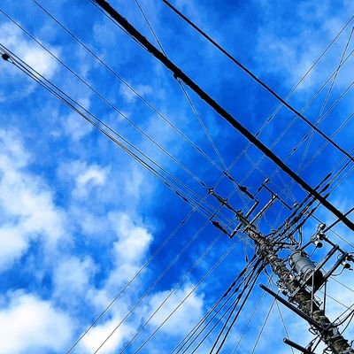 kumaneko_totsu's profile picture. とつ／nhk77／NHQC( @NHQC_numatoquiz )→静大QC（@shizudai_quiz）
