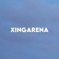 ✯(@XINGARENA) 's Twitter Profile Photo