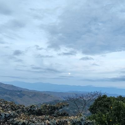 bdi9402's profile picture. Médico, Universidad del Cauca