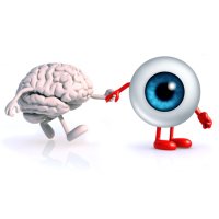 SeeLab (@cviseelab) 's Twitter Profile