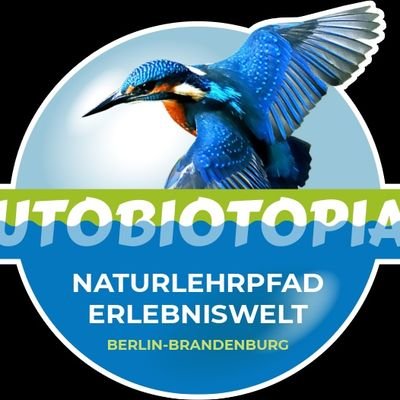 UTOBIOTOPIAnebb's profile picture. Twitteraccount der ''UTOBIOTOPIA Naturlehrpfad-Erlebniswelt Berlin-Brandenburg'' Projektaccount