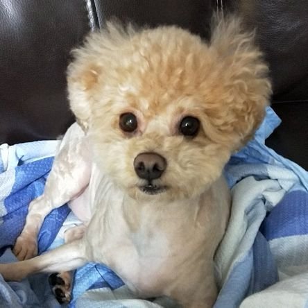 e5Cvc23GD0s15gE's profile picture. 