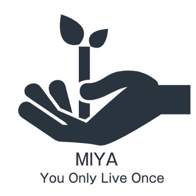 yolo_miyachan's profile picture. 40代から、Web制作にコミット中❗マークアップエンジニアを軸に、これからの楽しい出会いに️期待😄人生、楽しんだ者勝ち😁🧑🏻‍💻 YOLO (You Only Live Once)❗️ Gibson B-25愛用🎸ハーレーダビッドソンBreakout愛用🏍️