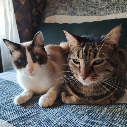 ClaireBrnry's profile picture. ICNBS, Nancy