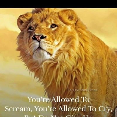 evansmaoga's profile picture. Am unique in a way that I value all I hope that one day I will be a very successful person following the fear of God in me.