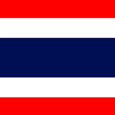 Just a person with Thai flag as a pfp.