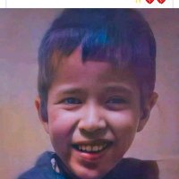 النمر الفلسطيني (@abdellaadhem) 's Twitter Profile