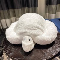 Henry Leshnower (@henryleshnower) Twitter profile photo