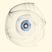 AzothP (@azothp1) 's Twitter Profile