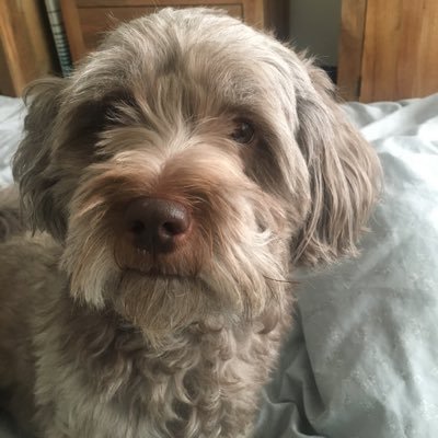 superbigmumhugs's profile picture. Slightly not normal and an embarrassment to my 3 boys and my Soft Lad. LFC household. just don’t do anything that doesn’t give you happiness.