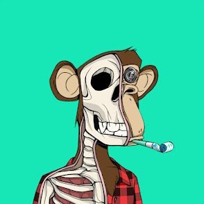 TdocNf's profile picture. 