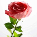 Sonali Pradhan - @SonaliP34701184 - Twitter