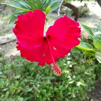 MunirHu43301389's profile picture. 