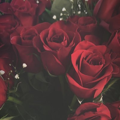 PSALM9d1's profile picture. FL🌸WERB🌼Y