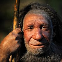 Human Apex Predator (@predator_human) 's Twitter Profile Photo Human Apex Predator (@predator_human) 's Twitter Profile Photo