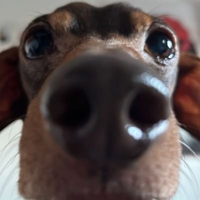 Michele08447905's profile picture. agente di commercio