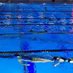 BGHS Swim & Dive Team (@purplesswimming) Twitter profile photo BGHS Swim & Dive Team (@purplesswimming) Twitter profile photo