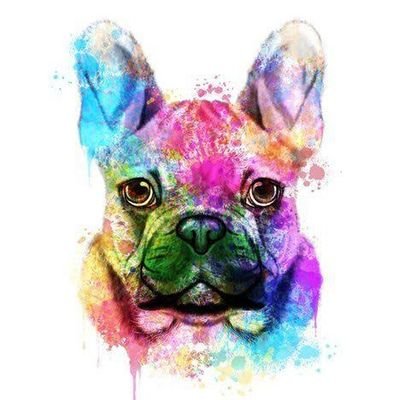 Frenchie_Owners Profile Picture