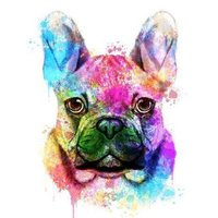 Frenchie Owners(@Frenchie_Owners) 's Twitter Profile Photo