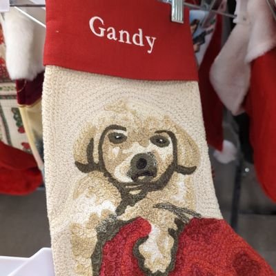 jabili_dub's profile picture. Just getting the news.