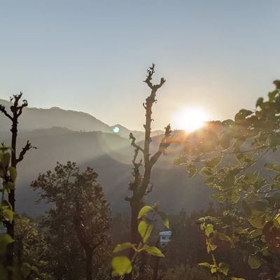 prakashved312's profile picture. 