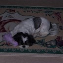 John Eckert - @johneckert3 - Twitter