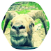 Ethanholle (@ethanholle) Twitter profile photo Ethanholle (@ethanholle) Twitter profile photo