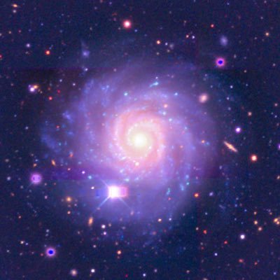 sxmmerstained's profile picture. dumpster fire with the occasional art