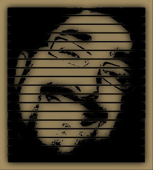 barreirasite's profile picture. 