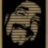 barreirasite's profile image