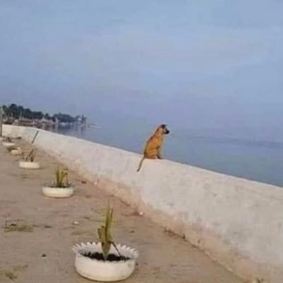 thewoopopsmokee's profile picture. 