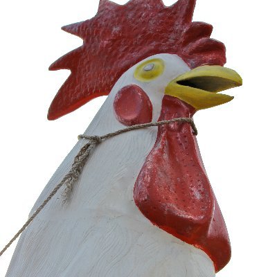 HollyJourn's profile picture. Cautiously watching what Twitter becomes.