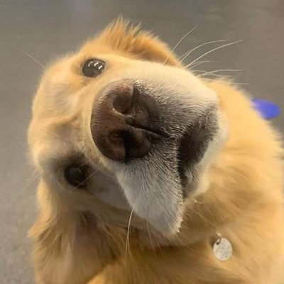 17 | Twitch Afiliado & Fortnite Player