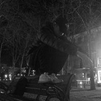 Med (@xmedet) 's Twitter Profile