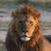 Shivraj Vaghela (@olistiquetravel) Twitter profile photo Shivraj Vaghela (@olistiquetravel) Twitter profile photo