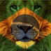 Joel aguilar (@aguilarsjoel) Twitter profile photo Joel aguilar (@aguilarsjoel) Twitter profile photo
